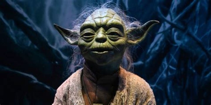 Lucasfilm refuses to name Yoda’s race, so ‘Star Wars’ fans have come up with their own shortlist