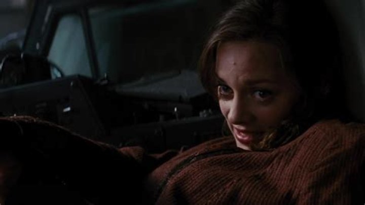 Marion Cotillard On Her Much-Maligned Dark Knight Rises Death Scene