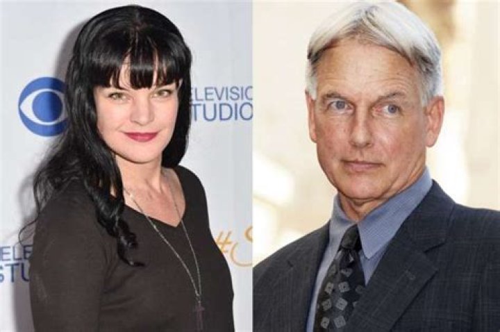 Mark Harmon Had This Reaction After Pauley Perrette Claimed He Assaulted And Intimidated Her — Which Side Is Winning The PR Fight With ‘NCIS’ Fans?