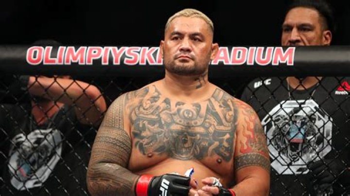 Mark Hunt Biography - Facts, Childhood, Family Life & Achievements