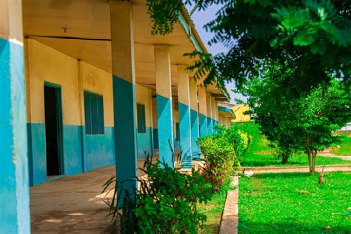 Mary Elicone Obituary, Bishop O’Reilly High School