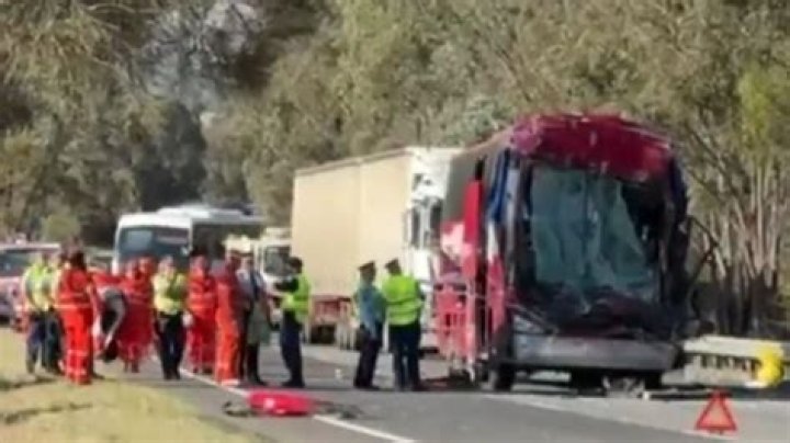 Mary Moynihan Died in a Tragic Tree Fall Freak Accident