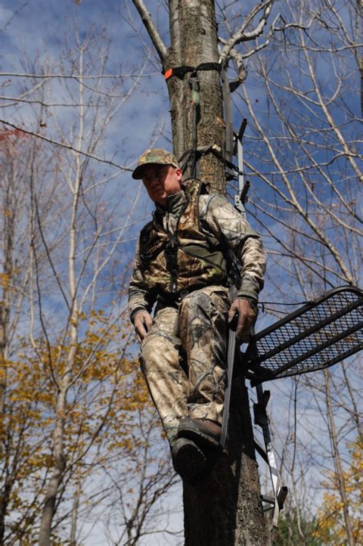Michael S. Rinaldo dies from tree stand fall while hunting in N.Y. with his Dad.