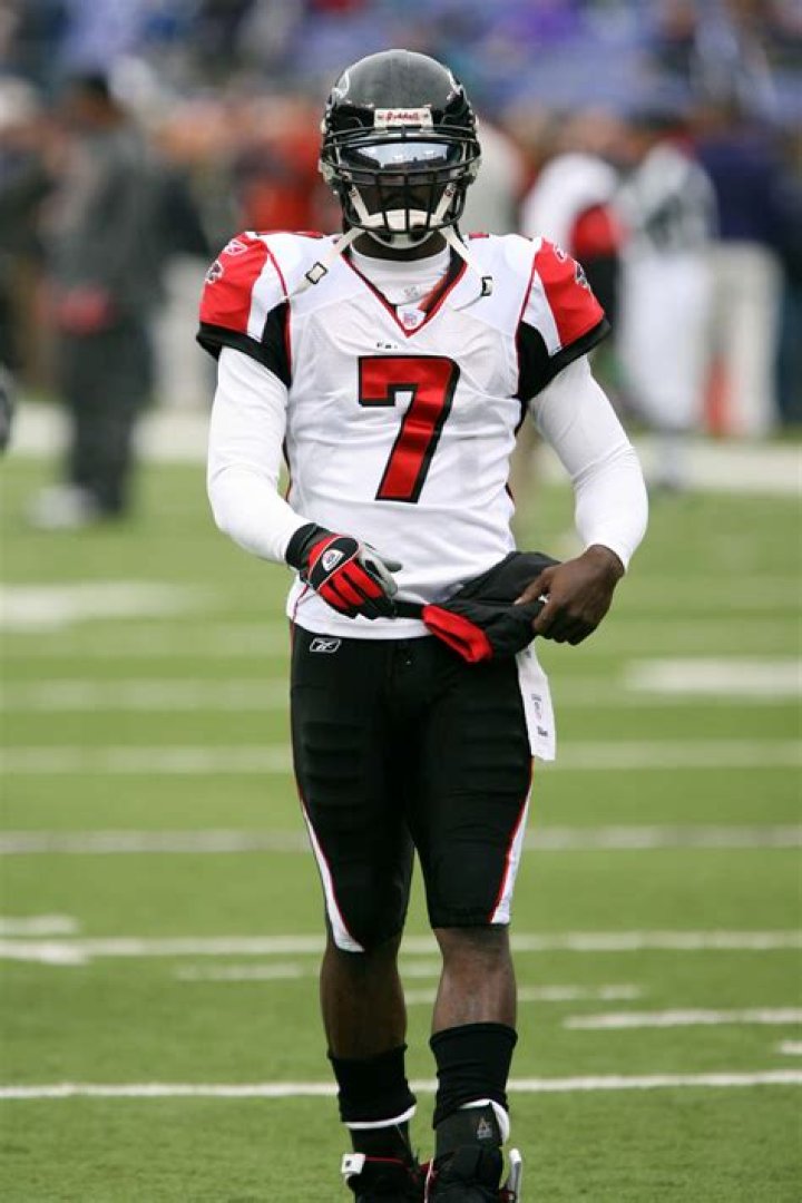 Michael Vick Biography - Facts, Childhood, Family Life & Achievements