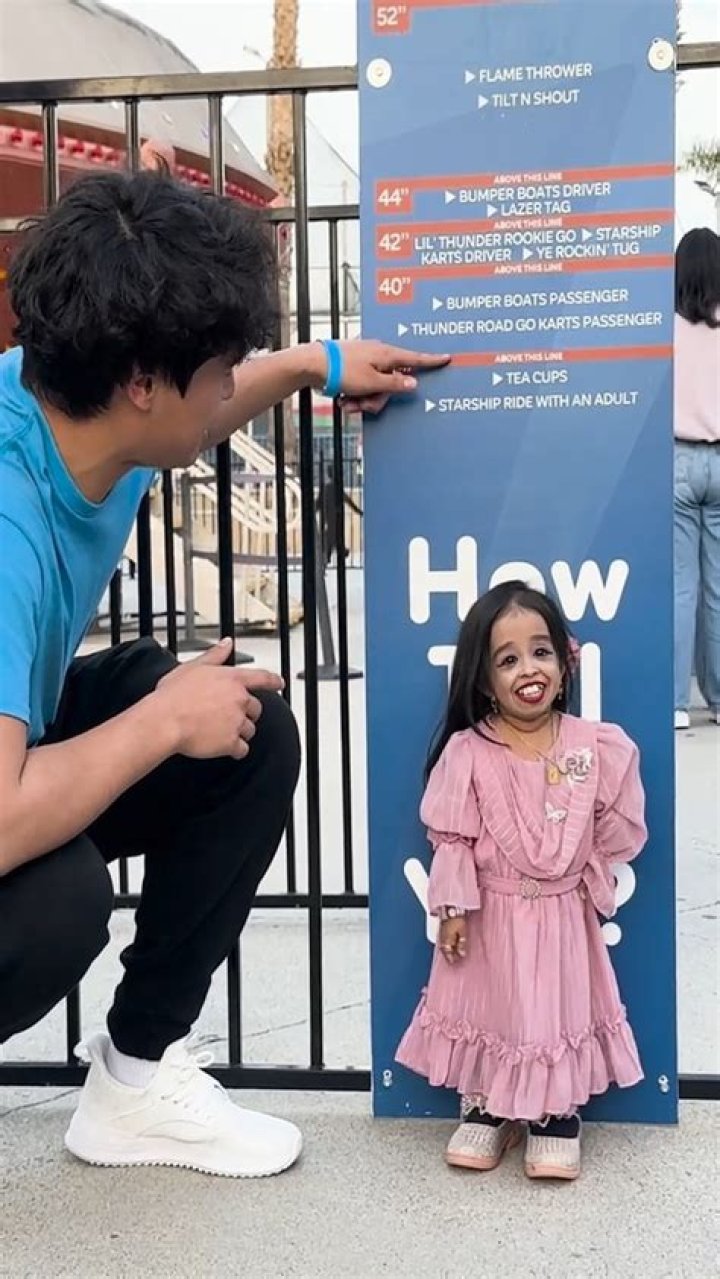 Movie lovers want to remind you that a Hulu original might have done what ‘Bros’ couldn’t as backlash continues