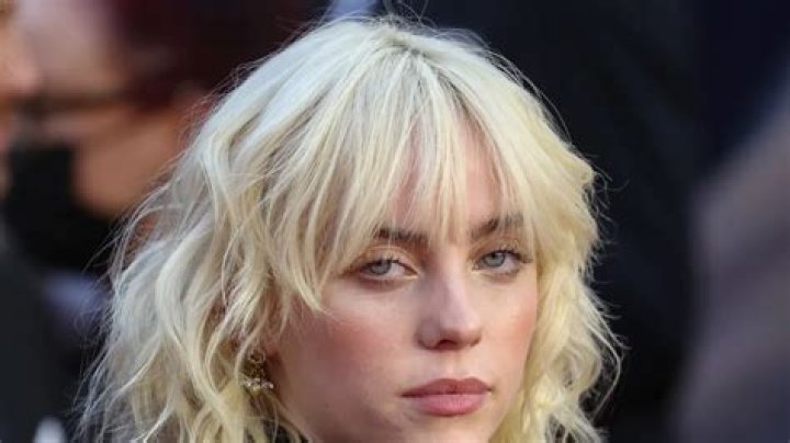 Billie Eilish in Bathing Suit Poses for a Rare Photo — Celebwell