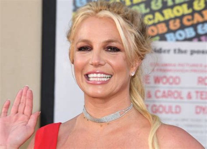 Britney Spears in Bathing Suit Says "Life is Good" — Celebwell