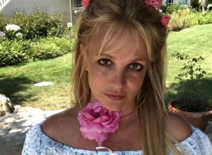 Britney Spears in Bathing Suit Walks in "Fields of Gold" — Celebwell