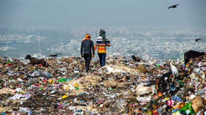 
NGT forms panel to check industries dumping hazardous waste in Ganga Canal 