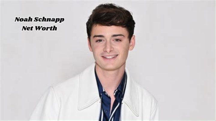 Noah Schnapp net worth: How much is Noah Schnapp worth?