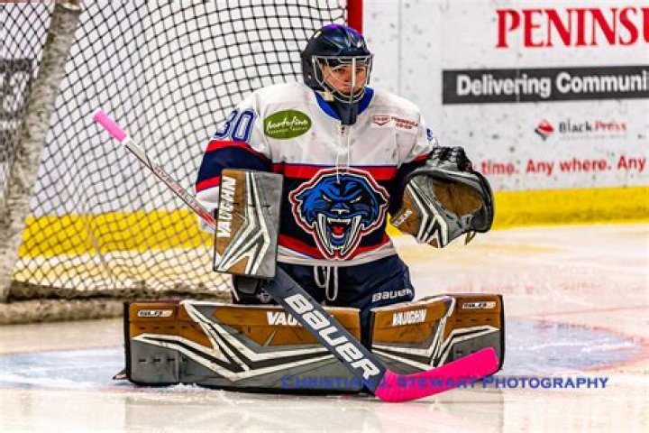 Obituary: Former Hockey Brad Tippett Passes Away, Peninsula Panthers Mourns