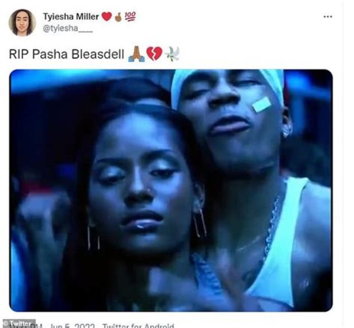 Pasha Bleasdell Wikipedia, age, death, husband, children, Canadian model, music videos, Instagram