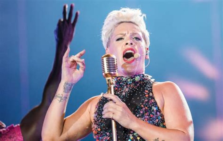 Pink Announces $1 Million Coronavirus Donation Following Her COVID-19 Diagnosis