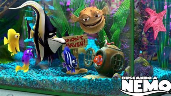 ¿Por qué se llama Buscando a Nemo? – Celebrity