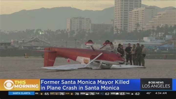 Rex Minter plane crash: How did Santa Monica Mayor died?
