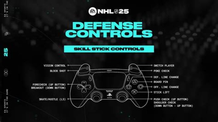 The Road To NHL 13 – Part 1: The Skill Stick