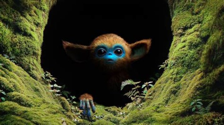 Dr. Robin Ochei, MD – Valhalla, NY