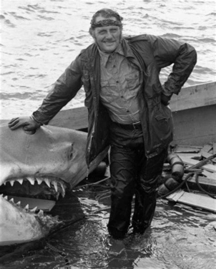 
Ross Shaw Age, Birthday, Wikipedia, Who, Nationality, Biography 