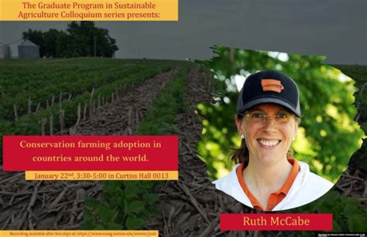 
Ruth McCabe Age, Birthday, Wikipedia, Who, Nationality, Biography 