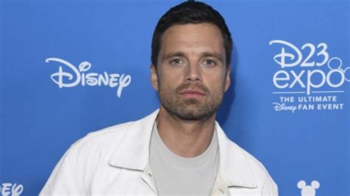 Sebastian Stan addresses the constant Luke Skywalker speculation