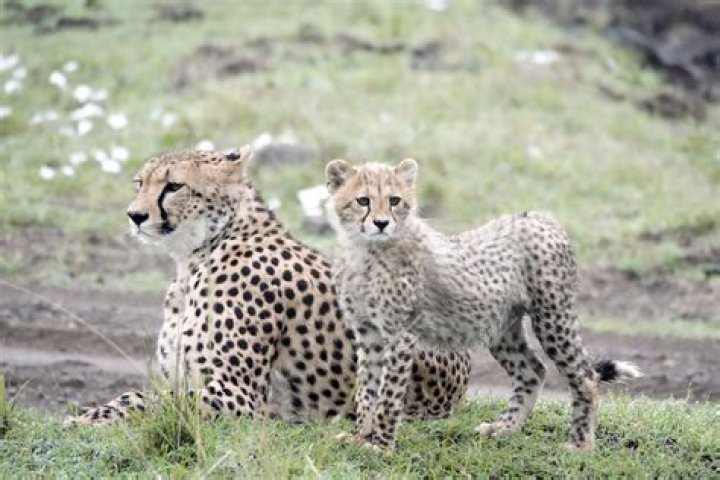 Shane Stephens – Kingsport, TN