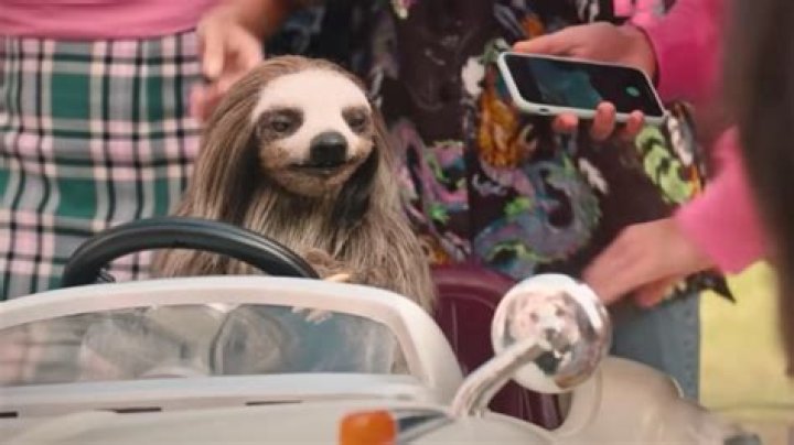 ‘Slotherhouse’ release date, cast, and more for the killer sloth movie