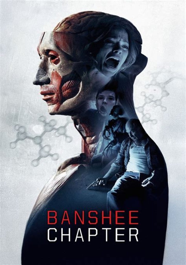 The Banshee Chapter Review