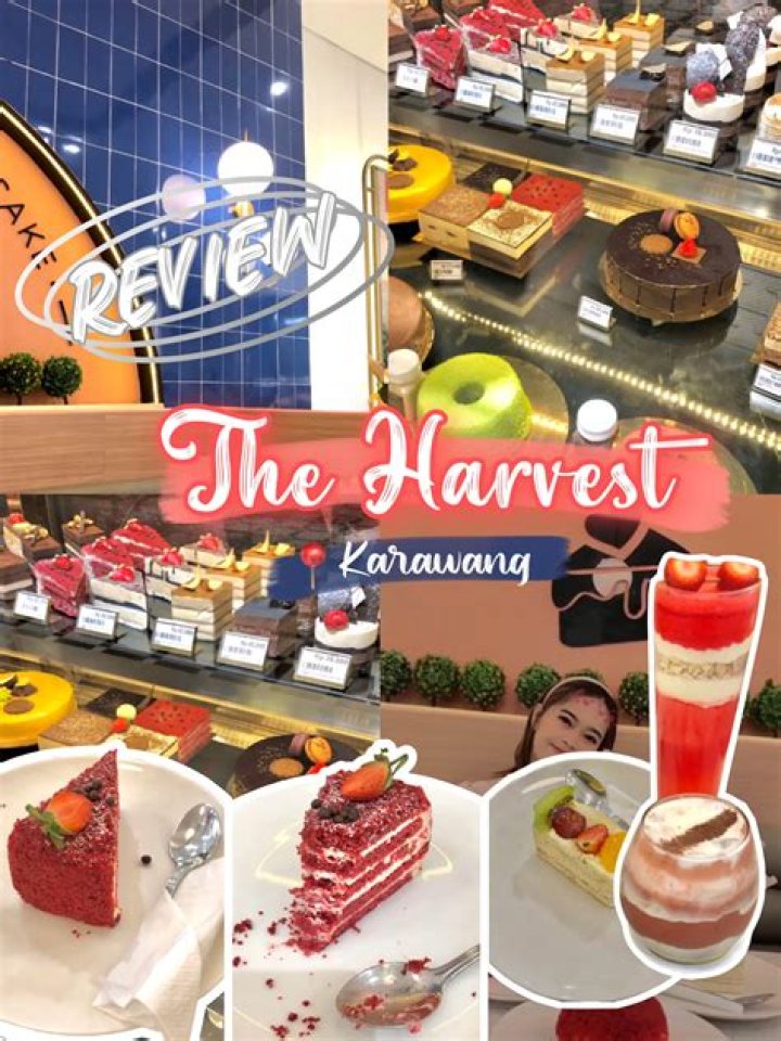 The Harvest Review
