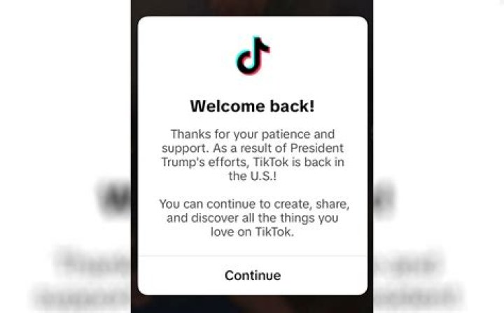 These Are My Ladies TikTok Original & Compilation – Meme Challenge
