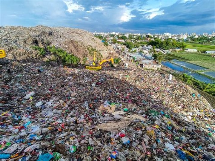 Thousands of U.S. cattle are buried, dumped at Kansas landfill