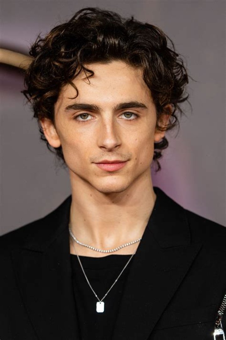 Timothée Chalamet Biography - Facts, Childhood, Family Life & Achievements