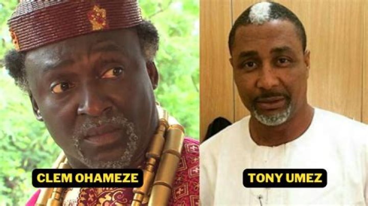
Tony Umez Net Worth, Age, Birthday, Wikipedia, Who, Nationality, Biography 