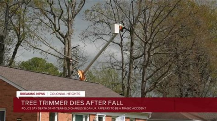 
Tree Trimmer Dies After Falling Into Wood Chipper Across from Kentucky Christmas Light Display 