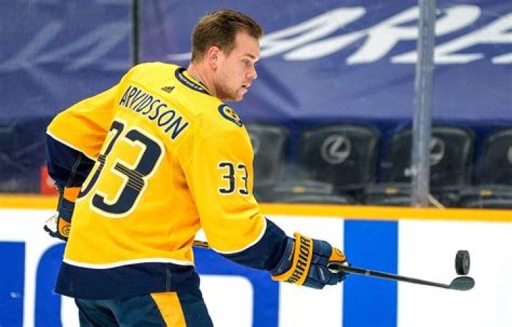 Viktor Arvidsson Height, Weight, Net Worth, Age, Birthday, Wikipedia, Who, Instagram, Biography