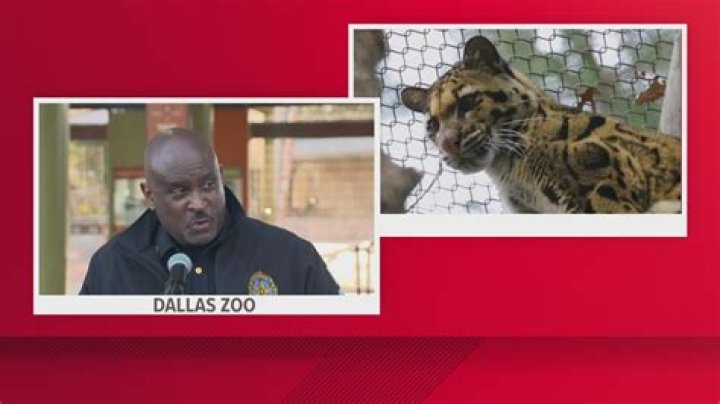 
What are the charges against Davion Irvin? Dallas zoo thief reportedly vowed to steal more animals 