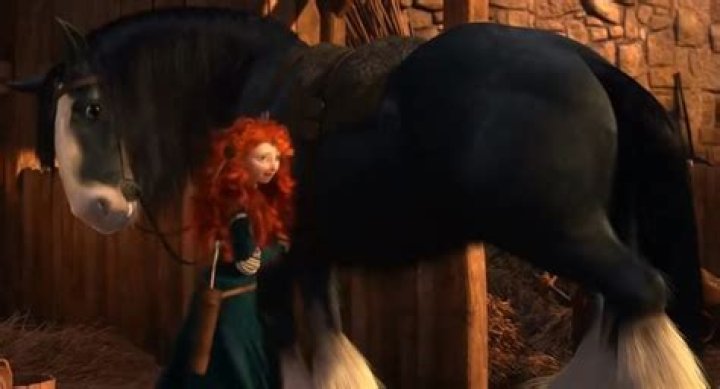 What breed is Merida’s horse? – Celebrity