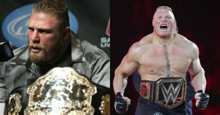 What happened to Brock Lesnar?