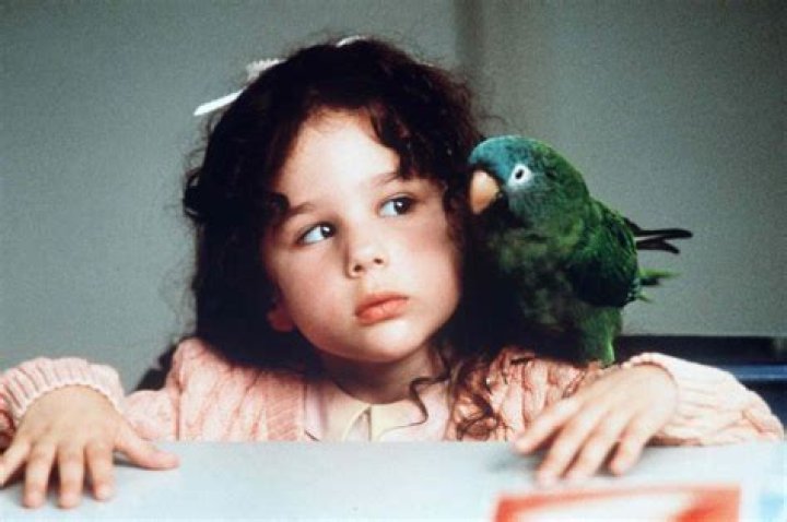 What happened to Hallie Kate Eisenberg? – Celebrity