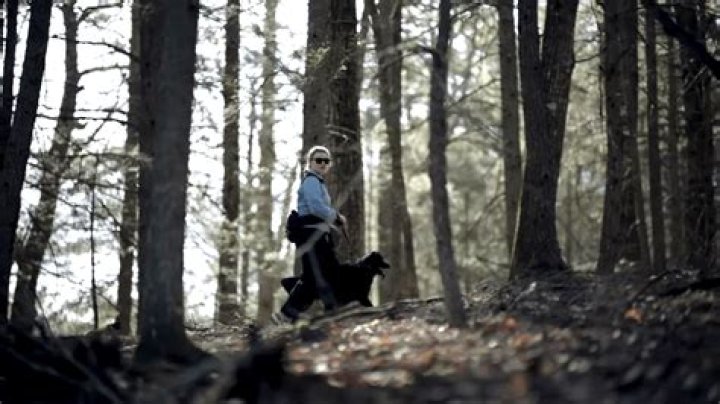 What happened to Meredith Emerson while hiking on Blood Mountain?