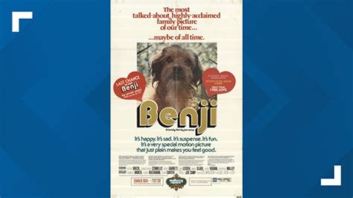 What happened to the original Benji? – Celebrity