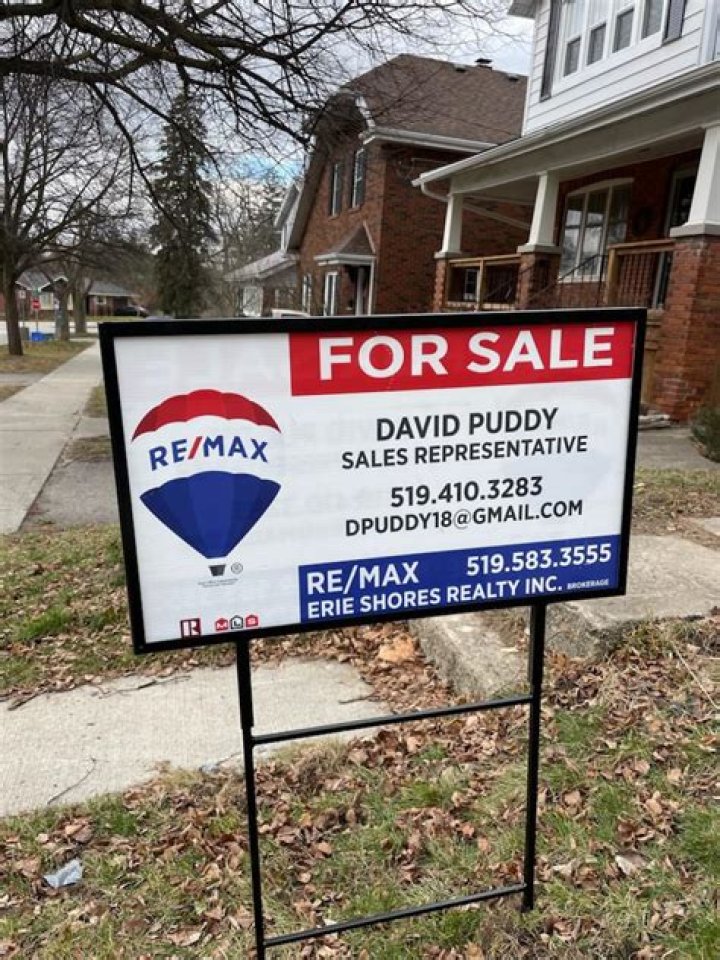 What is David Puddy real name? – Celebrity