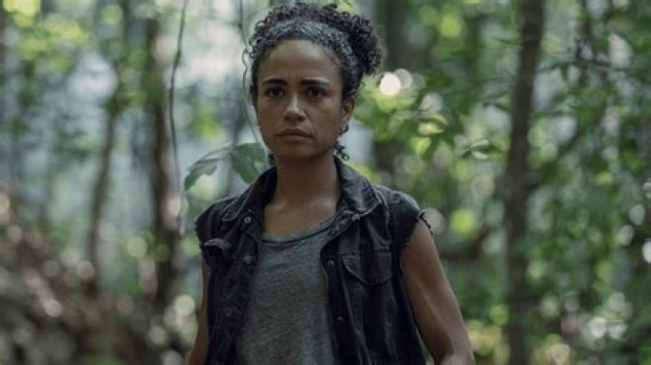 What is Designation 2 in ‘The Walking Dead?’