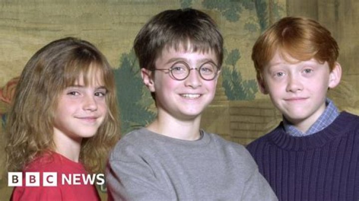 What is ‘Harry Potter and the Portrait of What Looked Like a Large Pile of Ash?’