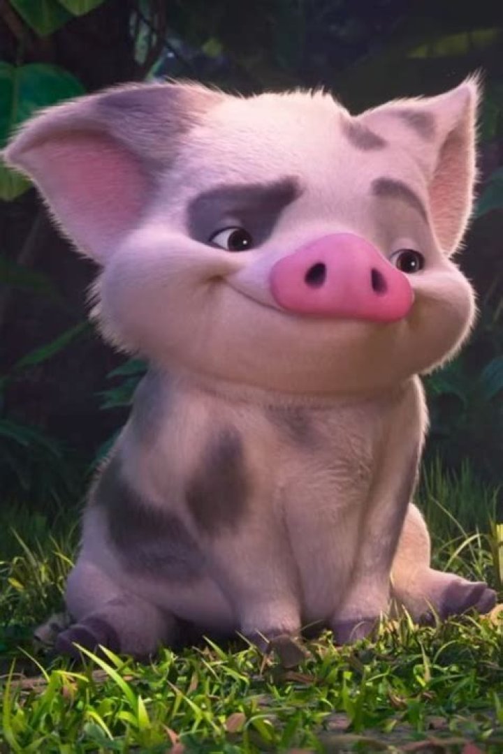 What is Moana’s pig’s name? – Celebrity
