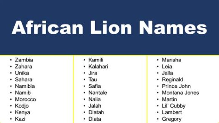 What is the African name for lion? – Celebrity
