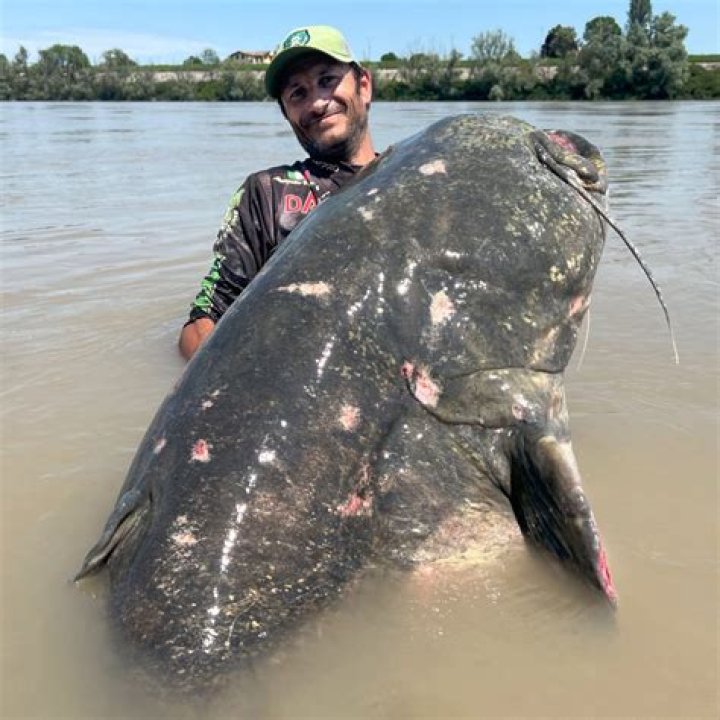 What Is The Best Episode Of Catfish Ever? – Celebrity