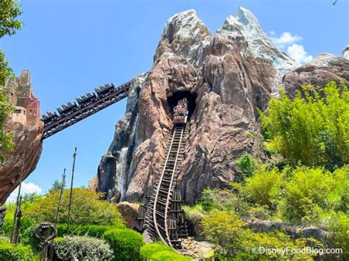 What is the fastest Disney ride? – Celebrity
