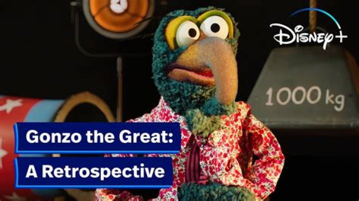 What kind of Animal is Gonzo? – Celebrity