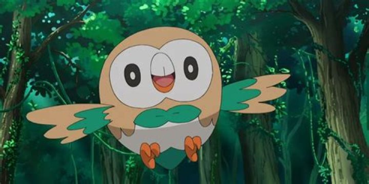 What Owl Is Rowlet Based On? – Celebrity