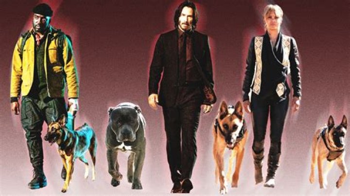 What type of dog is El Diablo? – Celebrity